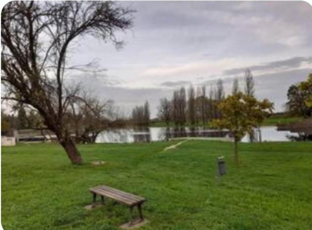 a park with a bench and a tree and a lake at Little dream in Karlovac