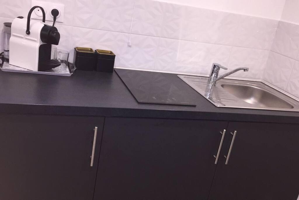 un bancone della cucina con lavandino e piano di lavoro di SPA L'angelus a Saint-Germain-lès-Corbeil