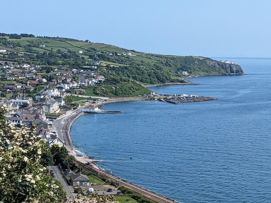 an aerial view of a beach with houses and the ocean at Molly's Cottage in Larne