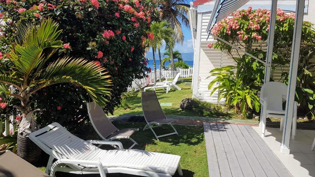 Κήπος έξω από το Duplex bord de mer