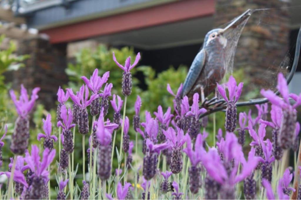 a bird sitting on top of purple flowers at Maymorn Orchard Suite in Upper Hutt