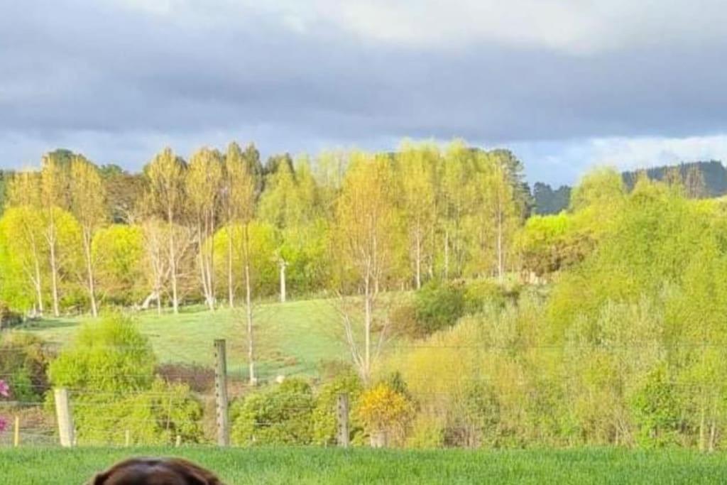Příroda nedaleko ubytování v soukromí