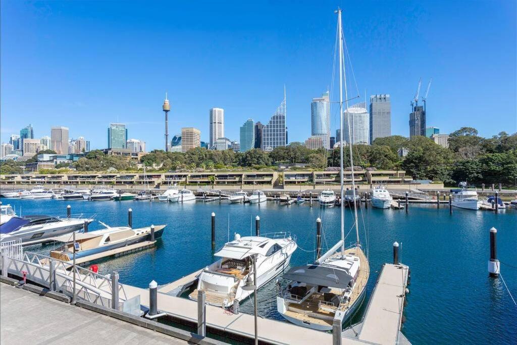 a group of boats docked at a marina with a city at Harbour View Woolloomooloo in Sydney