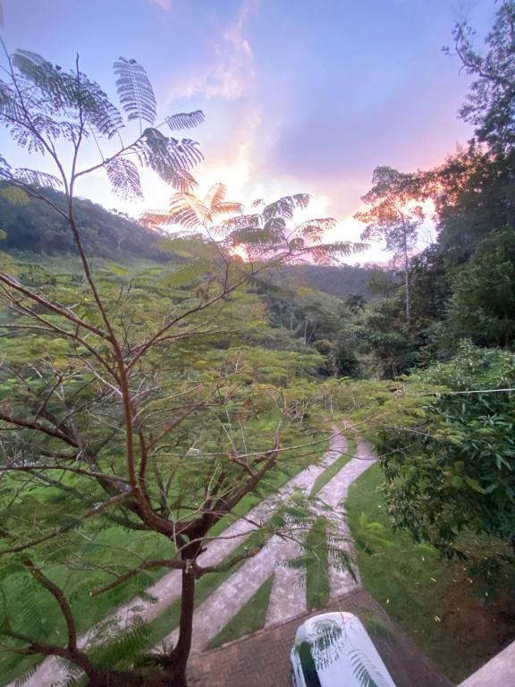 un camino de tierra en un campo con un árbol en Sítio Domingos Martins, en Domingos Martins