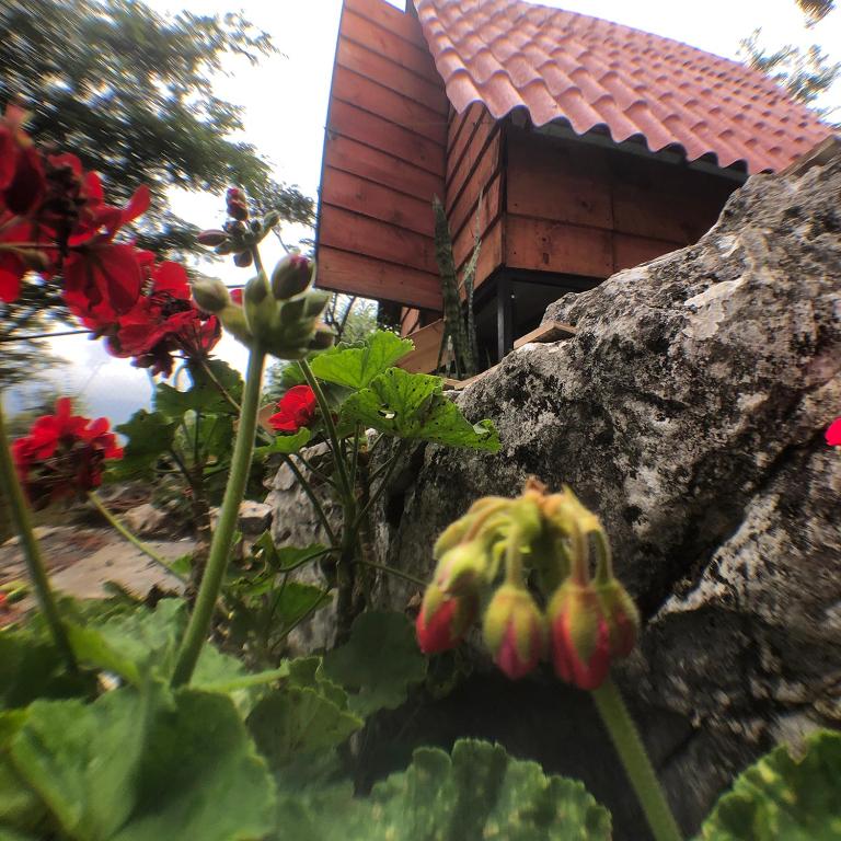 Zahrada ubytování Cabañas Yei Calli
