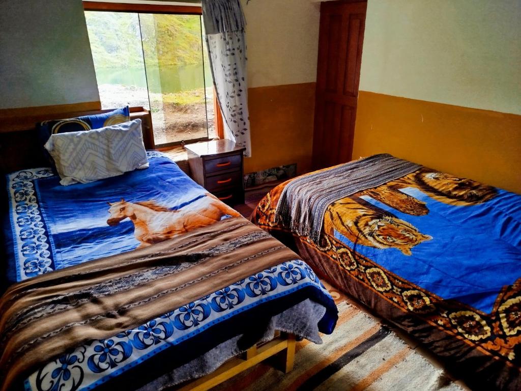 ein Schlafzimmer mit 2 Betten und eine Katze, die darauf liegt in der Unterkunft HOMESTAYKINSACOCHA in Pisac
