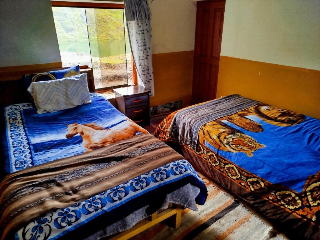 een slaapkamer met 2 bedden en een kat erop bij HOMESTAYKINSACOCHA in Pisac