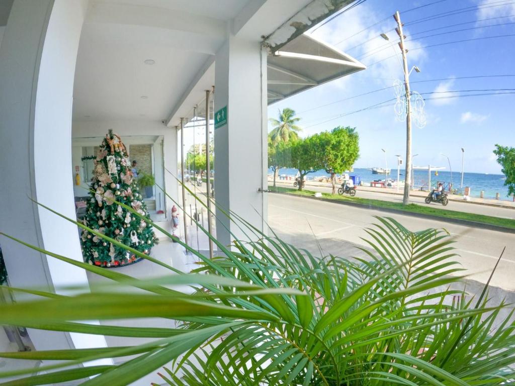 Un árbol de Navidad al lado de un edificio en Hotel Almendros, en San Andrés