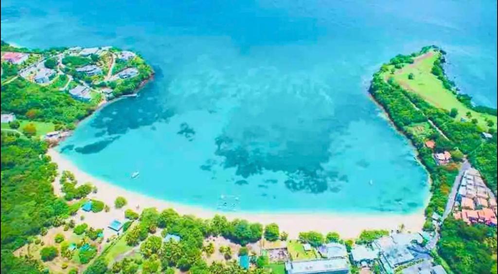 an aerial view of a beach with blue water at BBC Beach Condo in Morne Rouge