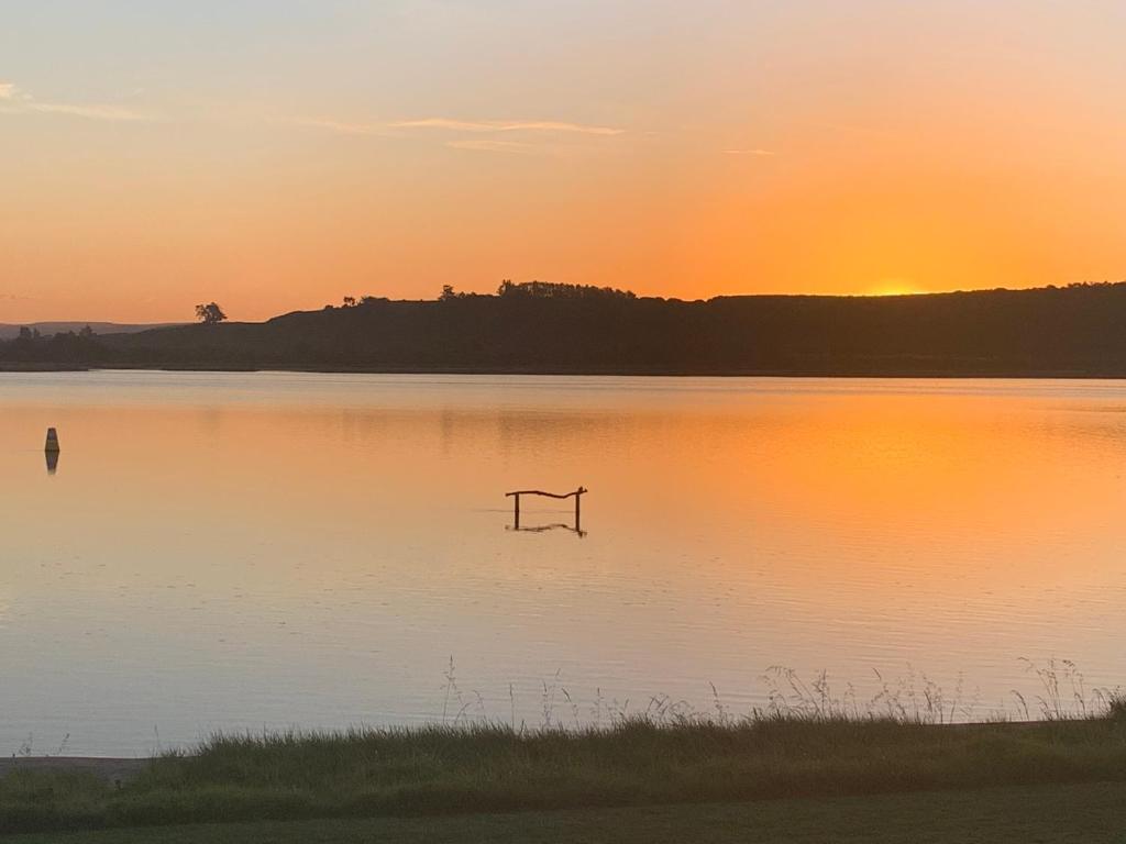 a bird sitting in the water at sunset at 690 Pukehina - Whare Nui in Pukehina