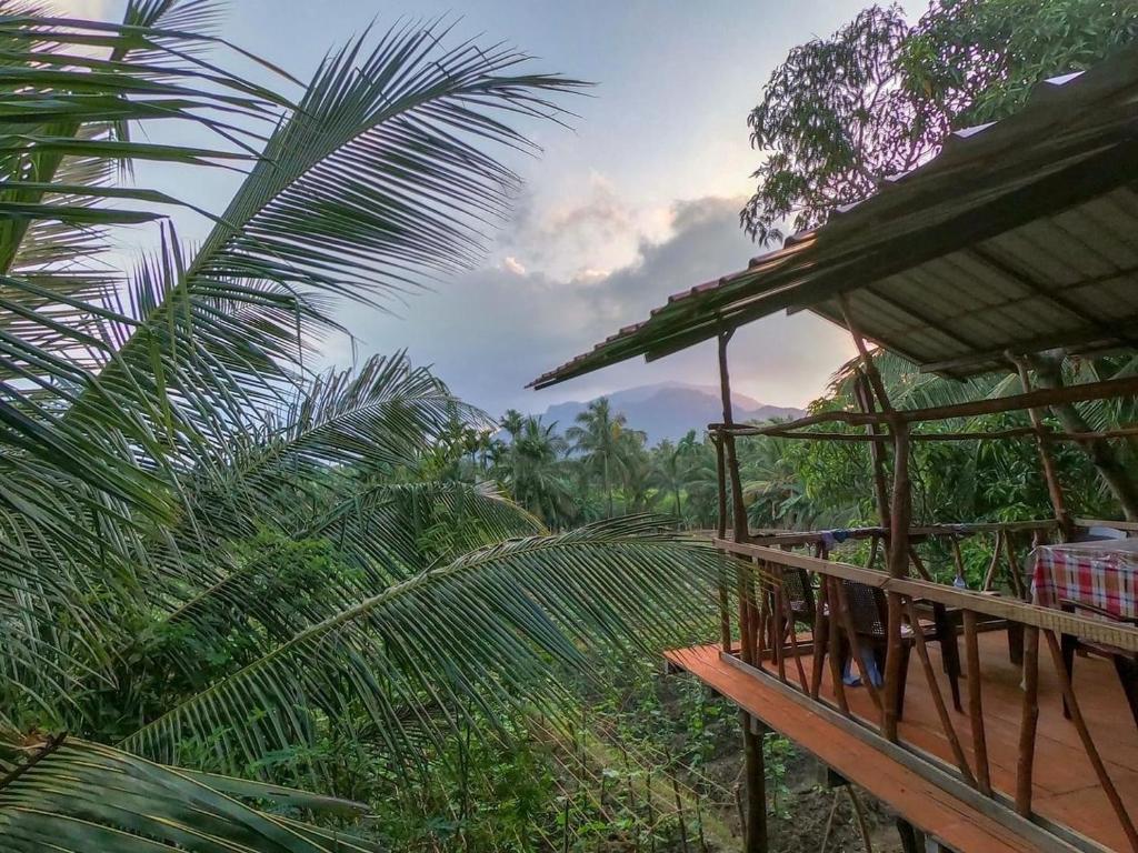 a hut in the middle of a jungle with a palm tree at Blue Mountains View in Dambulla
