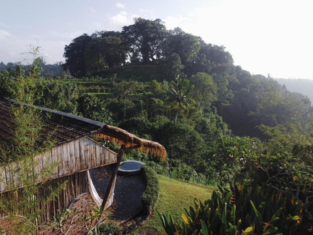 Shigar Livin Bali - 14