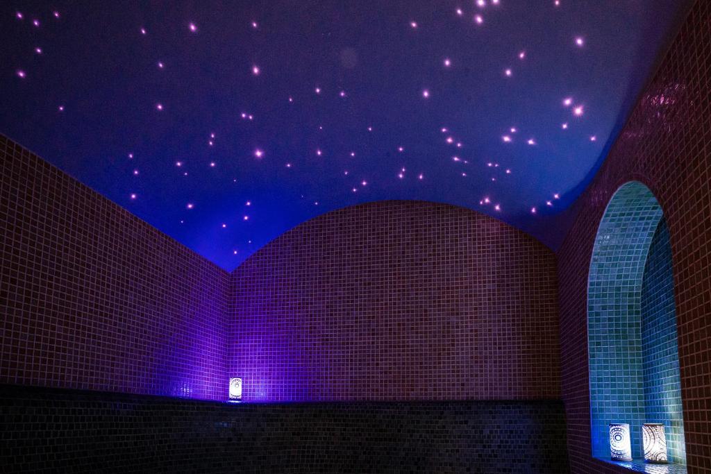 Hotel Arkadia Royal - Resim 8