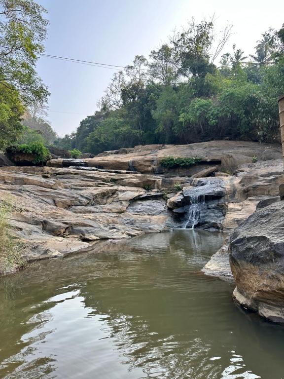 a river with a waterfall and rocks at Thoppil Homestay Munnar in Munnar