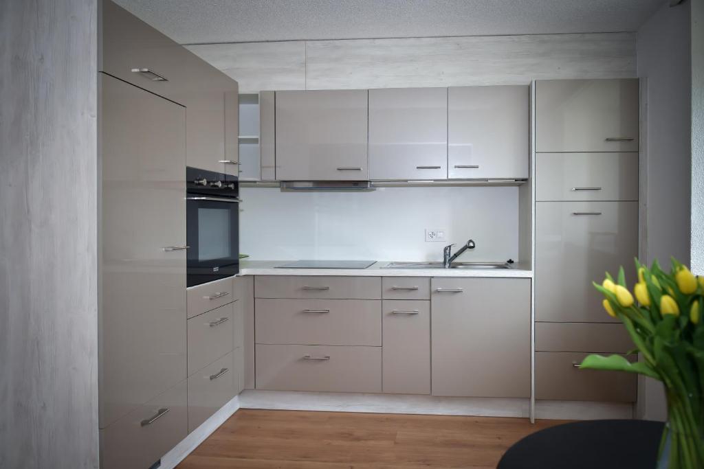 Kuchyň nebo kuchyňský kout v ubytování Hotel La Croix Blanche - Bassecourt