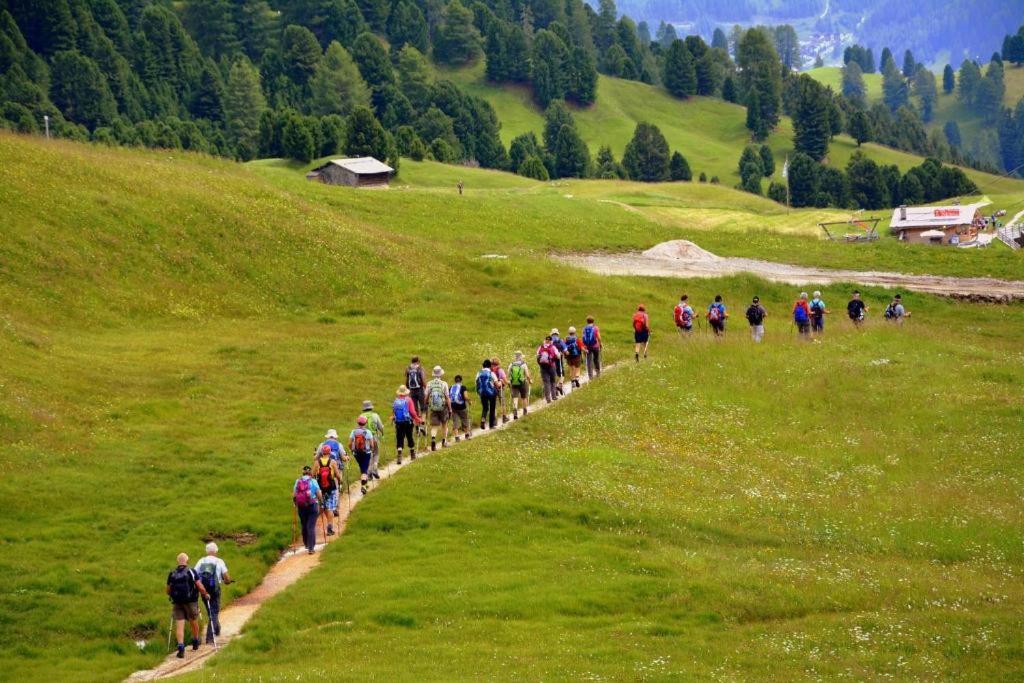 grupa ludzi idących po szlaku na wzgórzu w obiekcie Excelsior Hotel Cimone LowCost w mieście San Martino di Castrozza