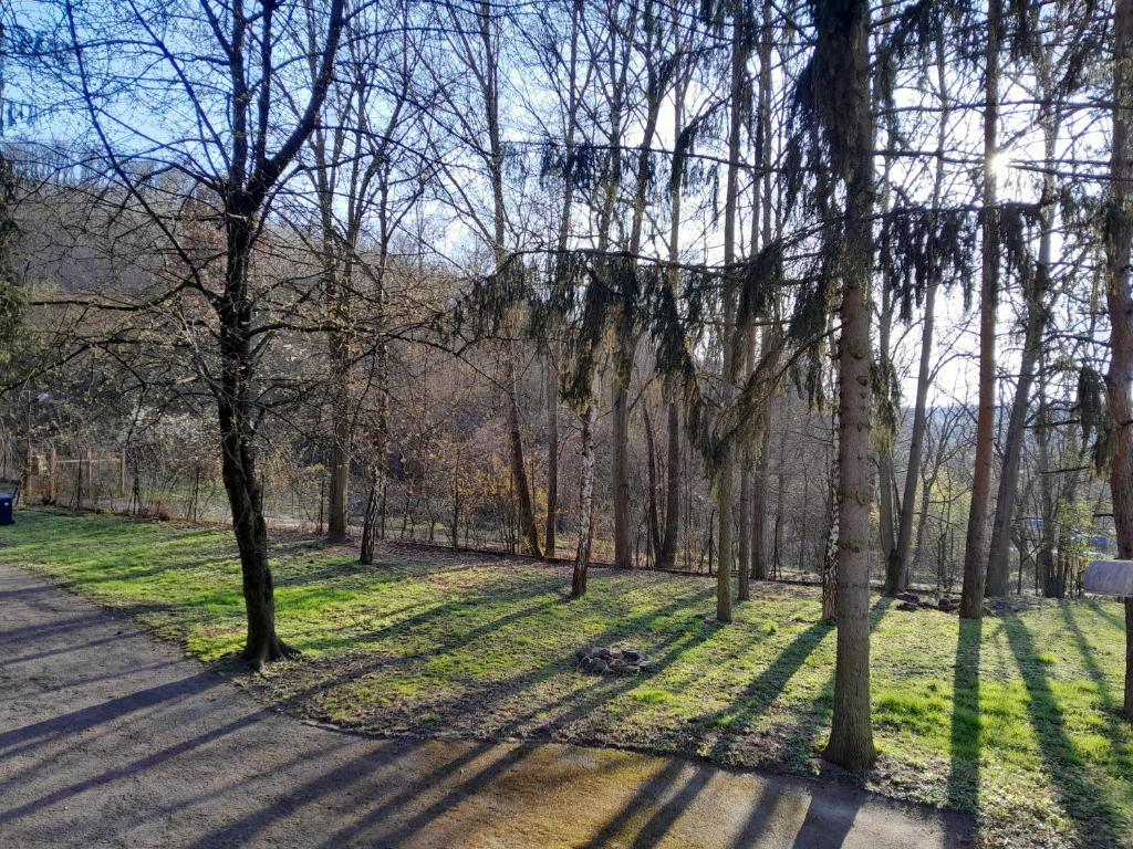 un parco con alberi e erba e un marciapiede di Tilia Ház a Salgótarján