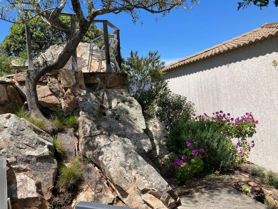 un mur de retenue de roche avec un arbre et des fleurs dans l'établissement Maison à 5min à pied du centre ville de porto -vecchio, à Porto-Vecchio