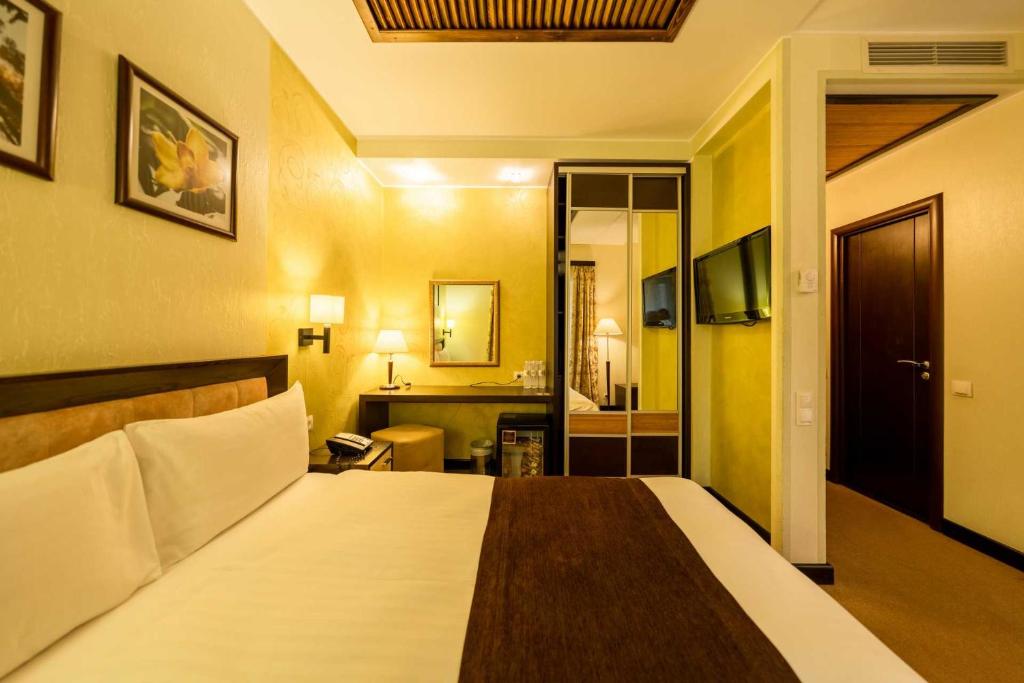 Shishkinn Resort&Spa - Standard Double Room