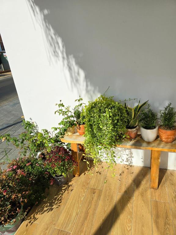 Vườn quanh Lac House Mui Ne