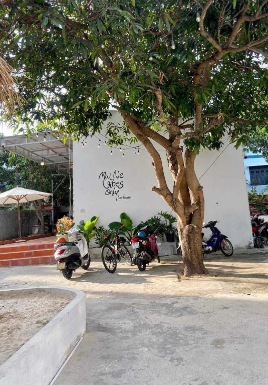 Bố cục Lac House Mui Ne