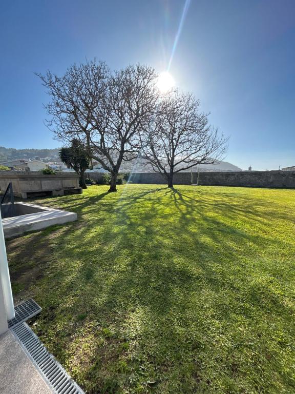 een groot grasveld met twee bomen erin bij Casa do Sorrio in Viana do Castelo