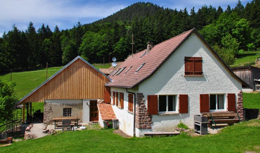 une maison avec un toit rouge sur un champ vert dans l'établissement Gite Rammelstein, à Ribeauvillé