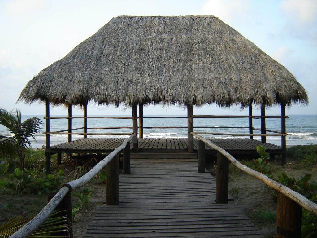 Příroda nedaleko hotelu