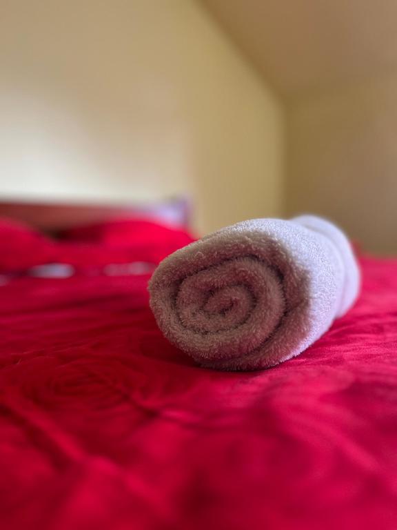 Postel nebo postele na pokoji v ubytování Casa Matis Mărișel