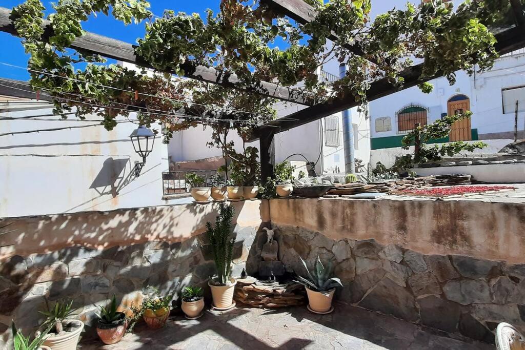 un patio con macetas en una pared de piedra en Casa Ventura, en Suflí