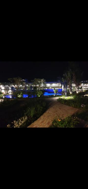 a night view of a park with blue lights at PEBBLE BEACH SIBAYA in Umhlanga