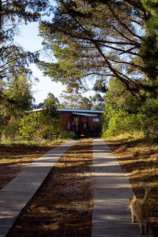 Equleni Guest Farm - Image 19
