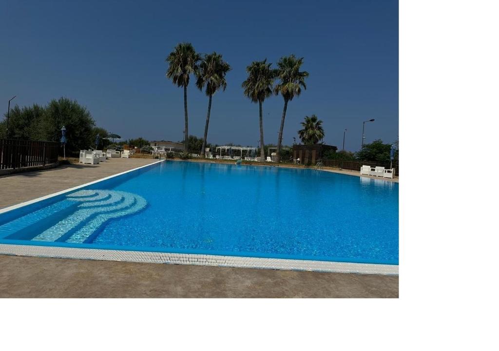 una gran piscina azul con palmeras en el fondo en New Residence, 
