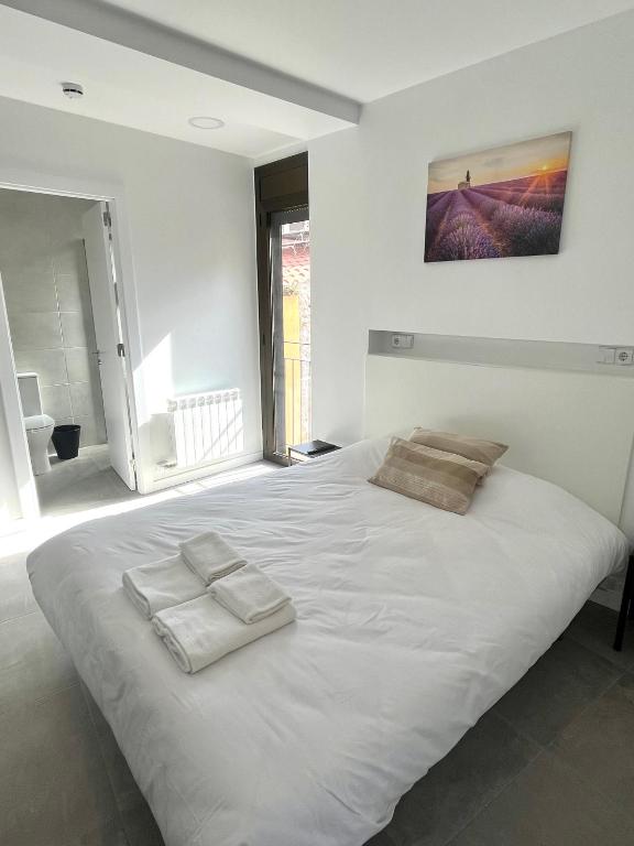 Postel nebo postele na pokoji v ubytování Hostal La Masia
