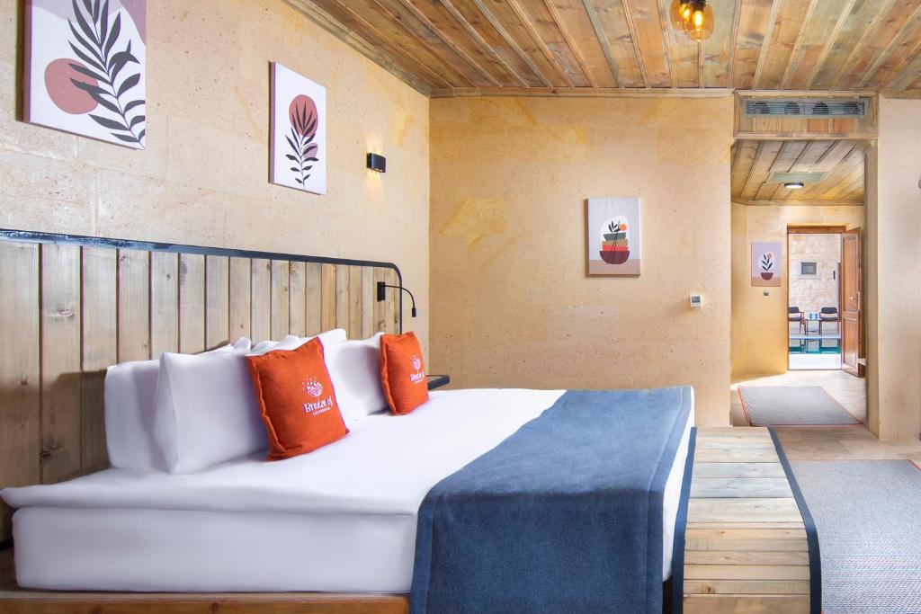 Breeze Of Cappadocia Special Class - 6