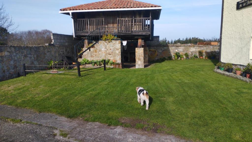 a dog standing in the grass in front of a house at Mar del Norte in Salamir