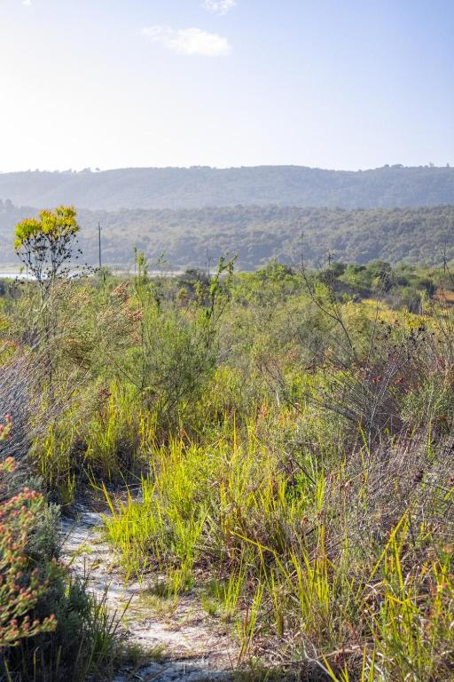Equleni Guest Farm - Image 42