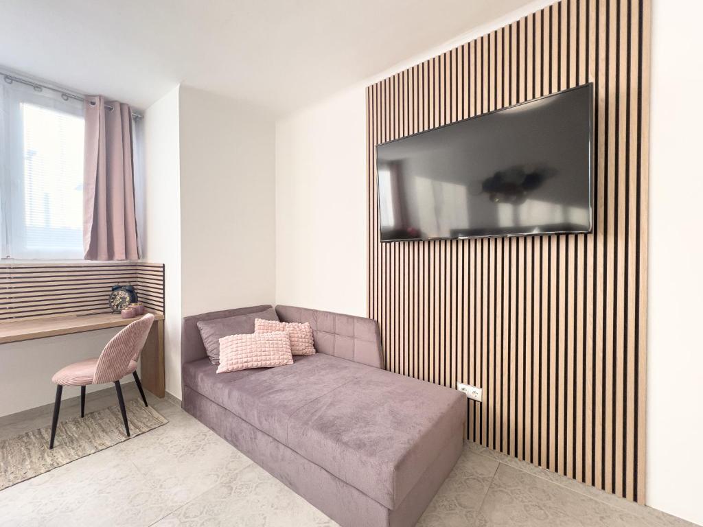 TV a/nebo společenská místnost v ubytování Krems Bahnhof Deluxe Rooms - near Danube River