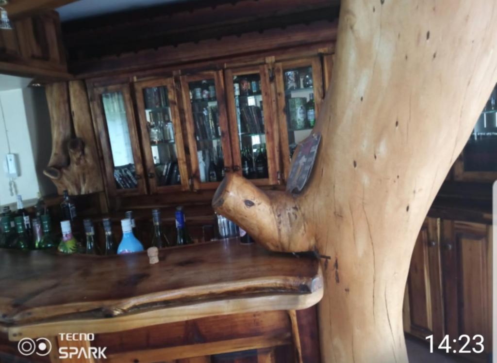 a wooden animal head sitting on top of a bar at 50 Arklow in Johannesburg