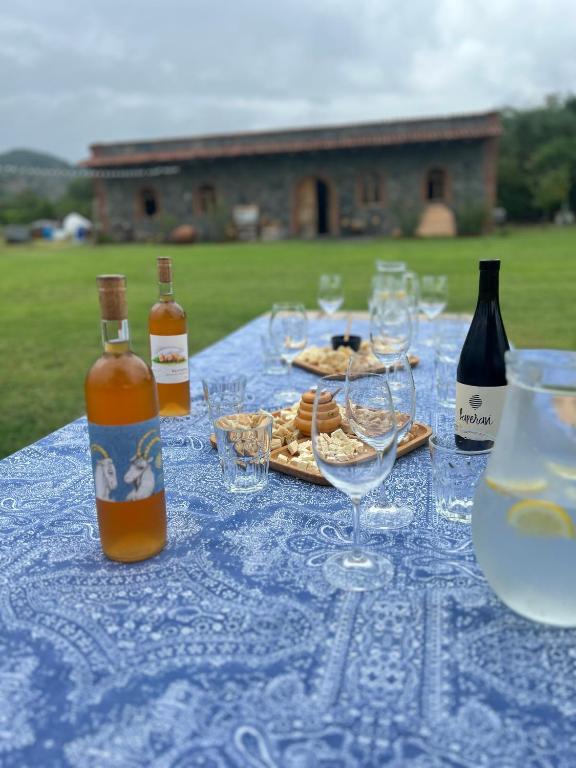 Photo from Chubini Winery & Cabins in Kvareli, Kakheti, Georgia