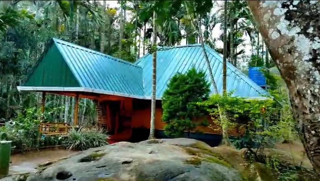 une maison avec un toit bleu dans la forêt dans l'établissement Livi Homestay, à Ambalavayal