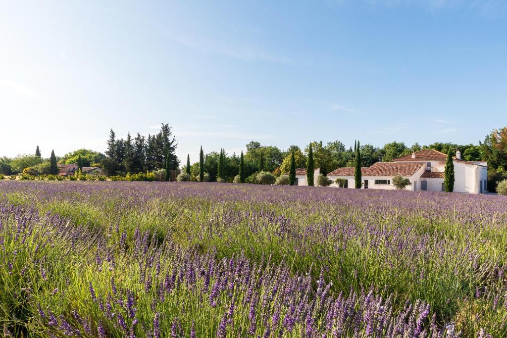 Zahrada ubytování La Bastide de Damien, 5 clefs Demeure d'Exception et Table Remarquable dans le guide Teritoria, JACUZZI Privatif, Cuisine étoilée Dominique Frérard