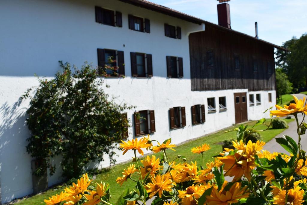 Zahrada ubytování Schererhof