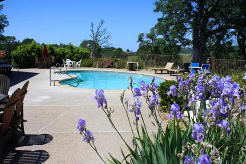 a swimming pool with purple flowers in front of it at Shenandoah Inn, MAJOR CREDIT CARDS REQUIRED for check in in Plymouth
