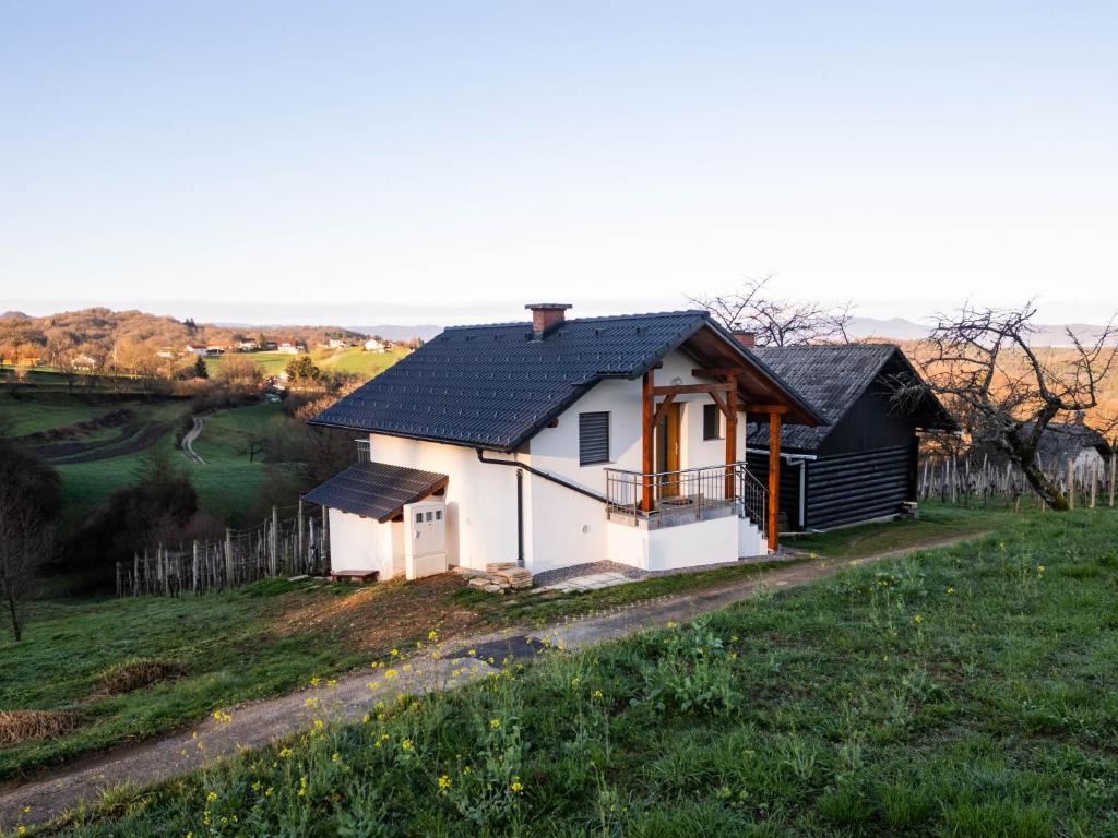 una pequeña casa blanca con techo negro en Vineyard cottage Majolka en Novo Mesto