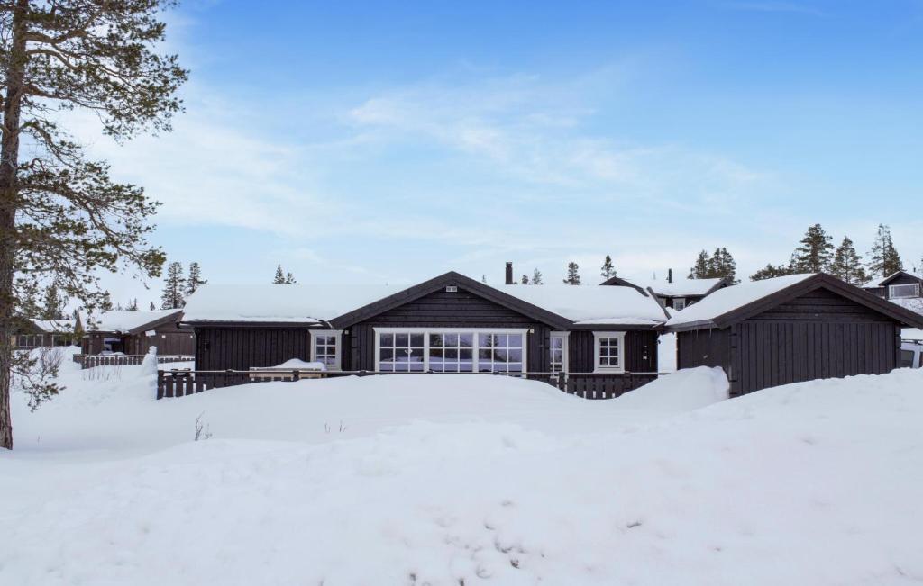 a house in the snow with snow covered grounds at Pet Friendly Home In Engerdal With Kitchen 