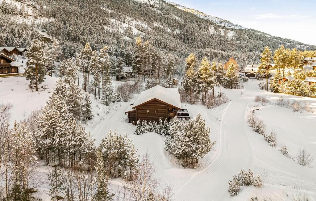 an aerial view of a cabin in the snow at Nice Home In Vrådal With Kitchen in Vradal