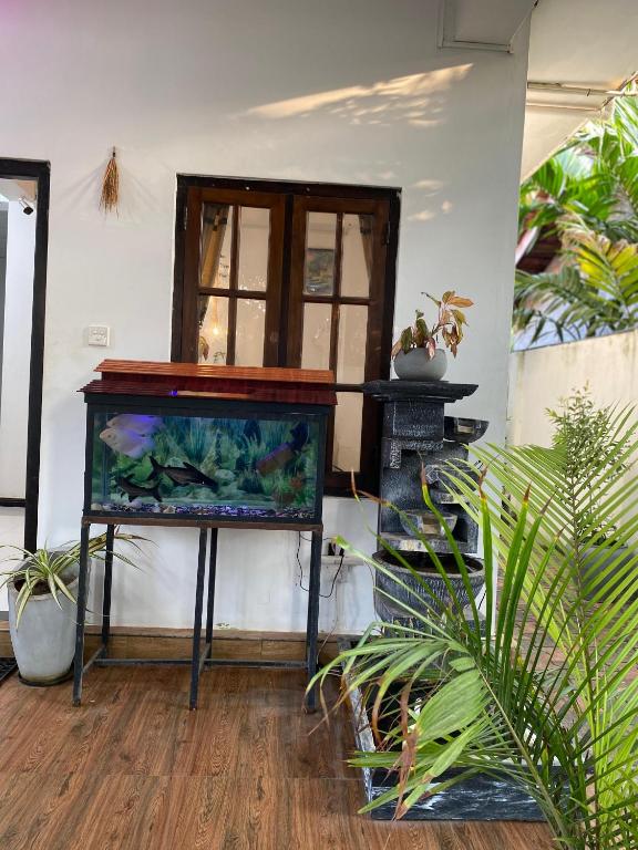 Fotografie z fotogalerie ubytování White Villa Hotel v destinaci Trincomalee