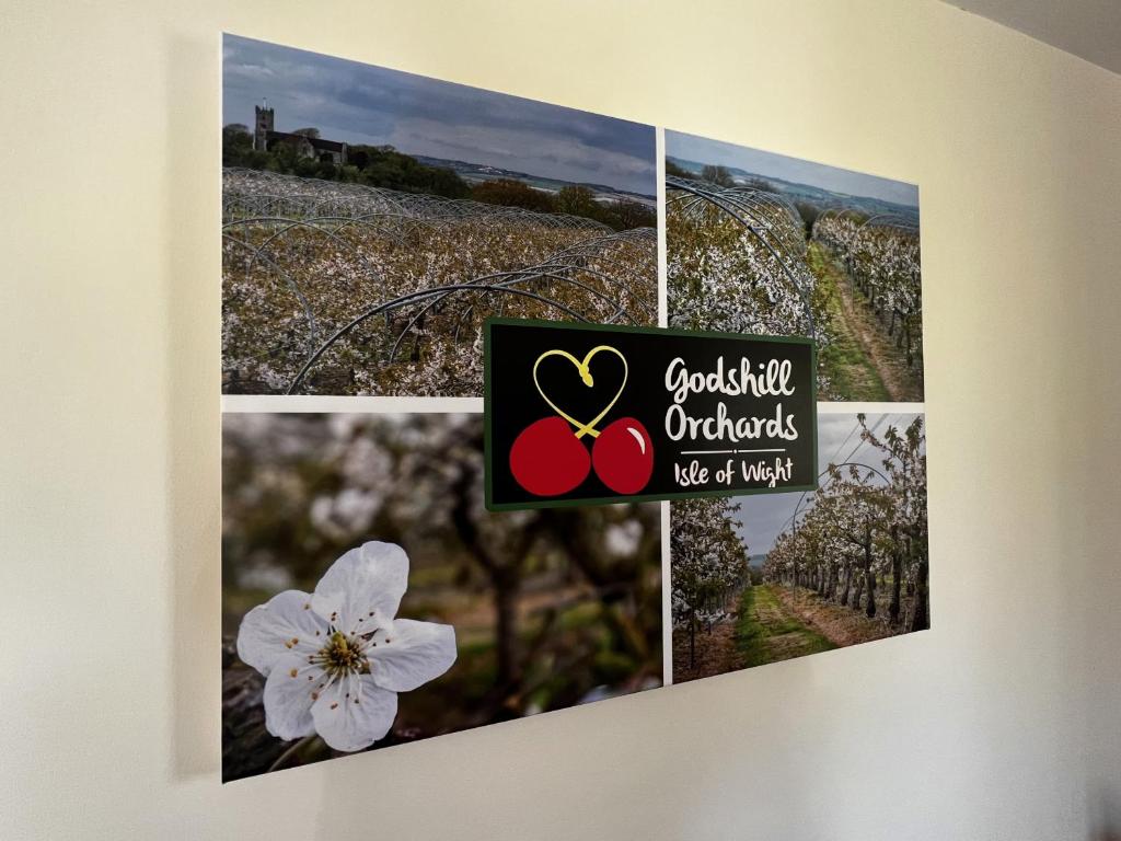 Fotografie z fotogalerie ubytování Cherry Lodge v destinaci Godshill