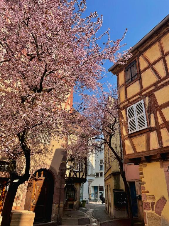 Travel Homes - Tanneur 6, heart of Petite Venise – photo 20